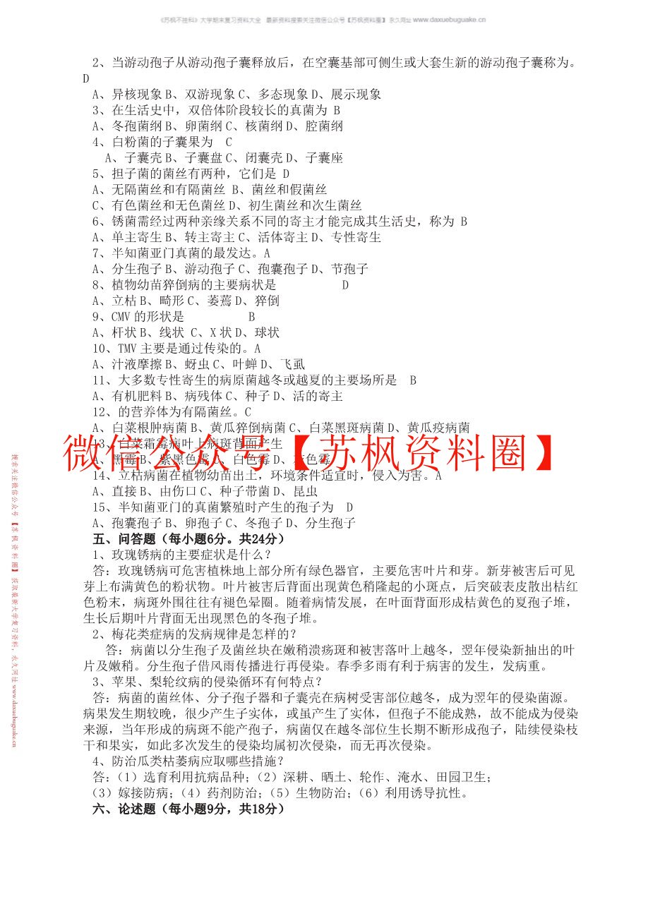 热带园艺植物病理学